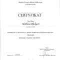 Powiększ obraz: certificate 2