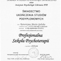 Powiększ obraz: certificate 1