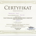 Powiększ obraz: certificate 5