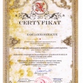 Powiększ obraz: certificate 10