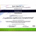 Powiększ obraz: certificate 7