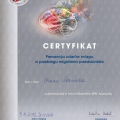 Powiększ obraz: certificate 9
