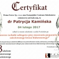 Powiększ obraz: certificate 5