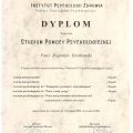 Powiększ obraz: certificate 7