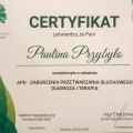 Powiększ obraz: certificate 9