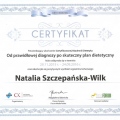 Powiększ obraz: certificate 4