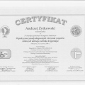 Powiększ obraz: certificate 21