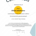 Powiększ obraz: certificate 22
