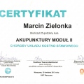 Powiększ obraz: certificate 28