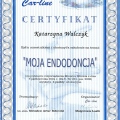 Powiększ obraz: certificate 4