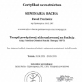 Powiększ obraz: certificate 8