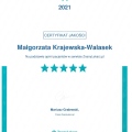 Powiększ obraz: certificate 1