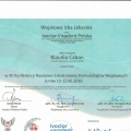 Powiększ obraz: certificate 4