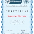 Powiększ obraz: certificate 6