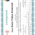 Powiększ obraz: certificate 10