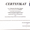 Powiększ obraz: certificate 4