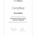 Powiększ obraz: certificate 15
