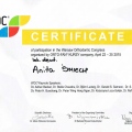 Powiększ obraz: certificate 2