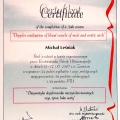 Powiększ obraz: certificate 2