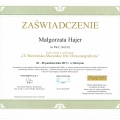 Powiększ obraz: certificate 2