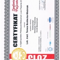 Powiększ obraz: certificate 11
