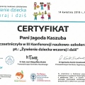 Powiększ obraz: certificate 4