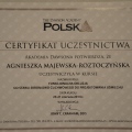 Powiększ obraz: certificate 1