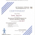 Powiększ obraz: certificate 8