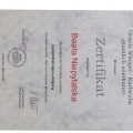 Powiększ obraz: certificate 21