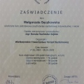 Powiększ obraz: certificate 6