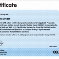 Powiększ obraz: certificate 93