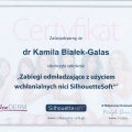Powiększ obraz: certificate 60