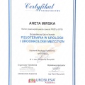 Powiększ obraz: certificate 6