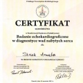 Powiększ obraz: certificate 11