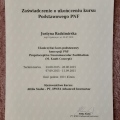 Powiększ obraz: certificate 3
