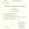Powiększ obraz: certificate 21
