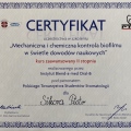 Powiększ obraz: certificate 2