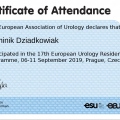Powiększ obraz: certificate 12