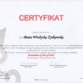Powiększ obraz: certificate 2