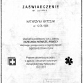 Powiększ obraz: certificate 10