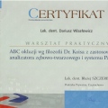 Powiększ obraz: certificate 10