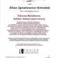 Powiększ obraz: certificate 6