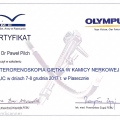 Powiększ obraz: certificate 13