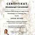 Powiększ obraz: certificate 4
