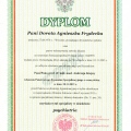 Powiększ obraz: certificate 4