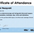 Powiększ obraz: certificate 12