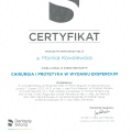 Powiększ obraz: certificate 4