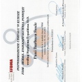 Powiększ obraz: certificate 13