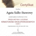 Powiększ obraz: certificate 17