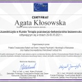 Powiększ obraz: certificate 4